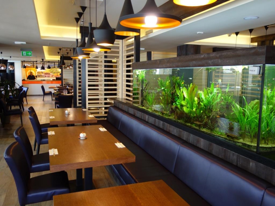 Megkóstoltuk a japánok kedvencét! - Gasztronómia -  - autentikus, étterem, finom, japán, kipróbáltuk, sushi, sushi sei, 