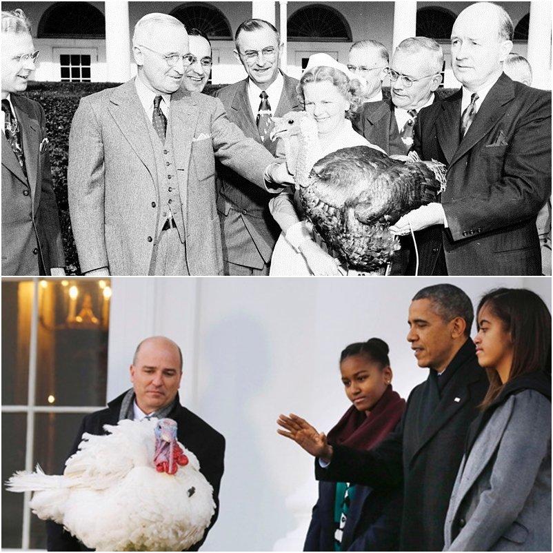 Hálaadás - STYLENEWS - STYLELIFE - Amerika, Hálaadás, 