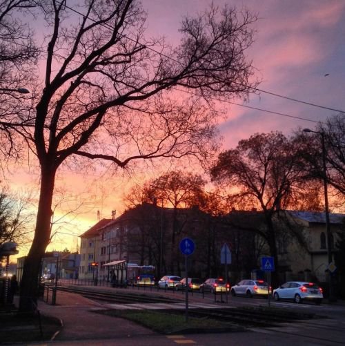 Az élet apró örömei - téged mi tesz boldoggá? - DIVAT&STÍLUS - Fesztelen mindennapok - boldogság, élet, öröm, 