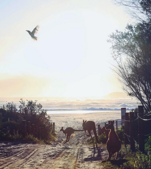 A legjobb világjáró Instagram profilok - STYLELIFE - Utazás - bloggerek, divat, instagram, nagyvilág, utazás, 