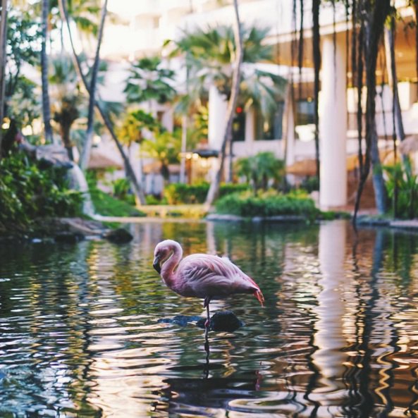 A legjobb világjáró Instagram profilok - STYLELIFE - Utazás - bloggerek, divat, instagram, nagyvilág, utazás, 