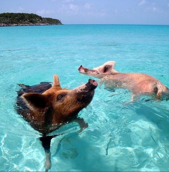 A legjobb világjáró Instagram profilok - STYLELIFE - Utazás - bloggerek, divat, instagram, nagyvilág, utazás, 