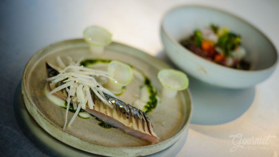 Vadat és halat… - Rendezvények -  - gourmet, gourmet fesztivál, 