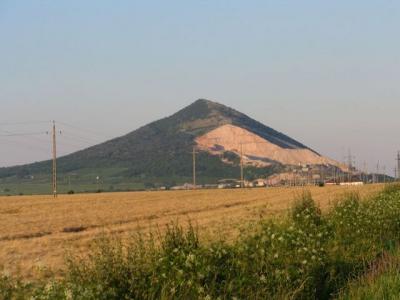 Kikerics túra a Szársomlyón - Utazás -  - Duna-Dráva Nemzeti Park, magyar kikerics, 