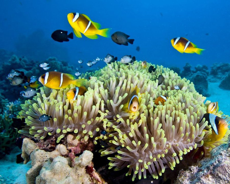 A Style.hu 7 természeti csodája - STYLELIFE - Utazás - természet, utazás, 