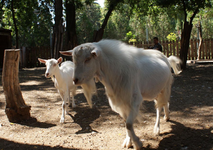 Húsvéti programajánló - STYLENEWS - Rendezvények - húsvét, programajánló, 