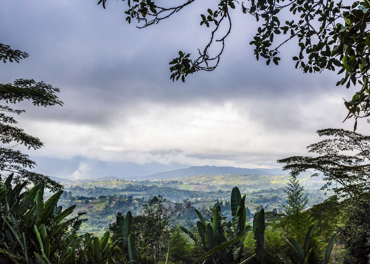 Mesébe illő, trópusi hangulatú esküvő Kolumbiában - STYLELIFE - Esküvő - esküvő, kolumbia, 