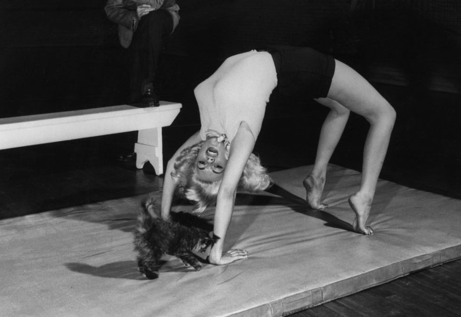 A legnépszerűbb hollywoodi retró edzéstípusok - STYLELIFE - Egészség - edzéstípusok, hollywood, marilyn monroe, retró, 