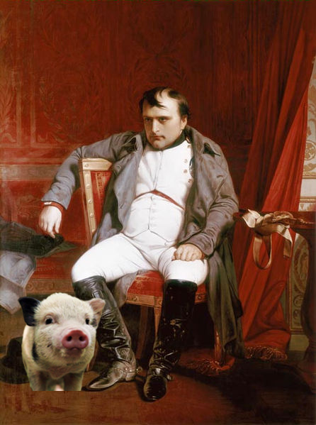 7 meghökkentő európai törvény - STYLENEWS -  - érdekességek, európa, európa nap, 