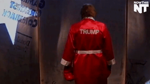 Hétfői gif challenge 06/06 - DIVAT&STÍLUS - Celebrity - gif challenge, hétfő, humor, 