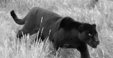 Stílusalbum CFDA 2016 - a divatszakma legrangosabb díjátadója - Celebrity -  - cfda, cfda award, cfda dye, cfda fashion awards, christina ricci, ciara, designers, karlia kloss, lena dunham, rosie huntington whiteley, 