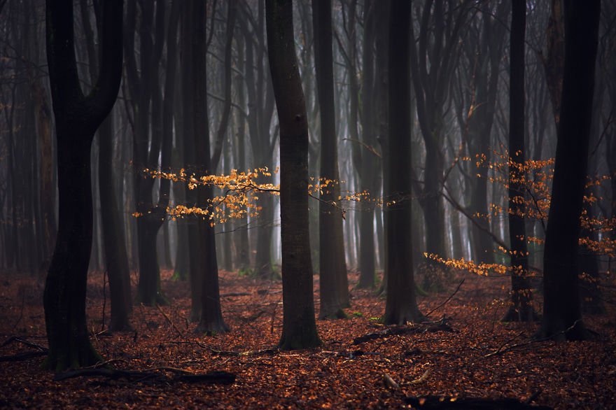 20 festői szépségű fénykép a különleges Hollandiáról - STYLELIFE - Utazás - fotográfia, Hollandia, szépség, táj, 