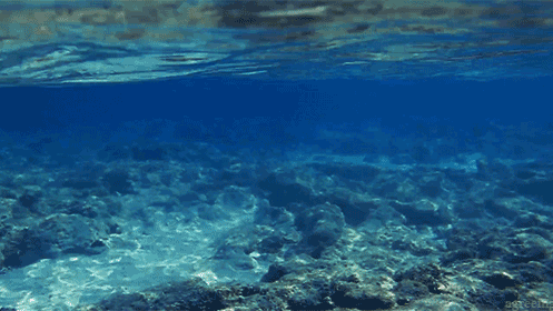 8 legszebb úticél a világon, amit látnod kell idén nyáron - STYLELIFE - Utazás - amszterdam, franciaország, hollandia, írország, london, mexikó, párizs, utazás, 