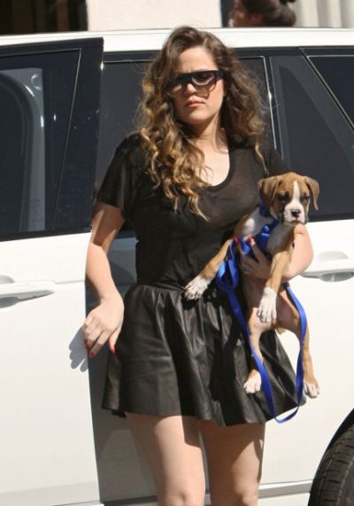 Hírességek, akik két fotó után túladtak a kisállataikon - DIVAT&STÍLUS - Celebrity - házi kedvenc, kisállat, sztárok, 