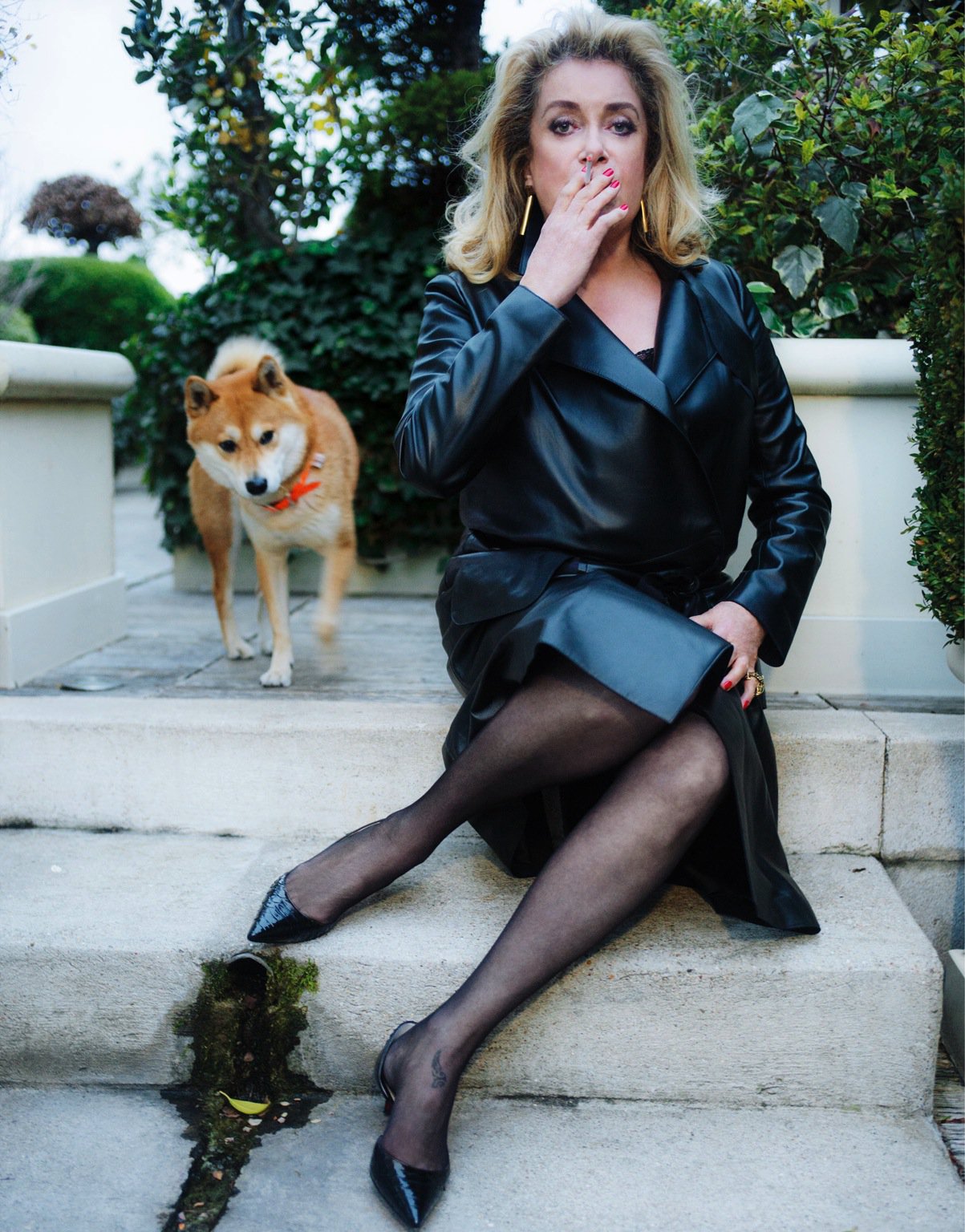 Catherine Deneuve, a klasszikus szépség - DIVAT&STÍLUS - Celebrity - Catherine Deneuve, elegancia, stílus, 