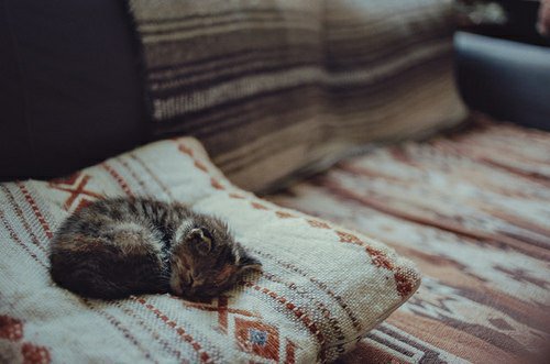 Őszi bakancslista, avagy 24 dolog, amiért várjuk a közelgő évszakot - STYLENEWS - Aktuális - ősz, szeptember, szeptemberre ajánljuk, 