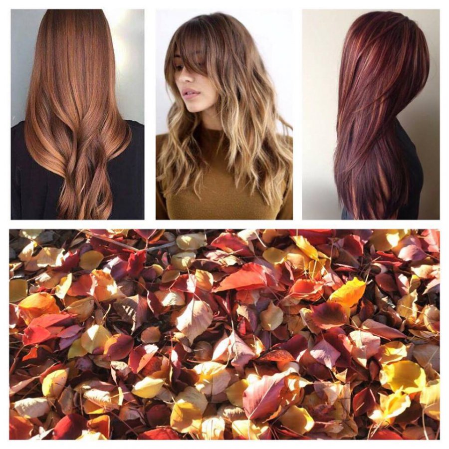 Őszi hajtrendek - SZÉPSÉG - Hajápolás  - hajak, ősz, stílus, szeptemberre ajánljuk, trendek, 